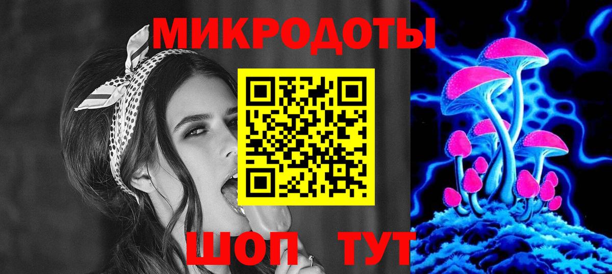 Псилоцибиновые грибы Psilocybe  Вход с VPN  Камышлов 
